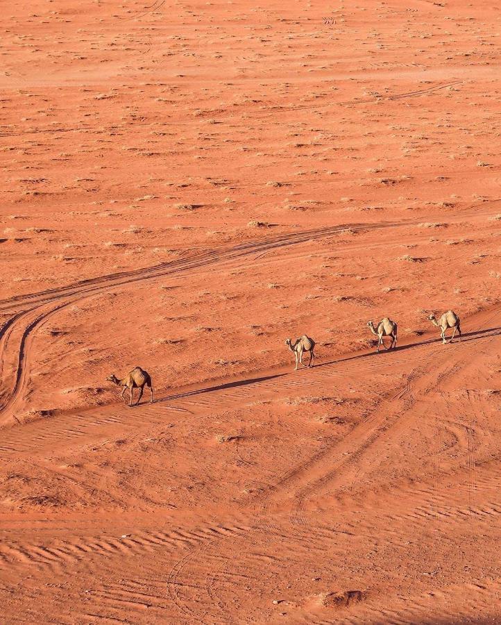 Golden Day Hotel Wadi Rum Exterior photo